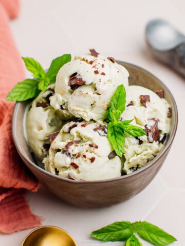 Vegan Mint Chocolate Chip Ice Cream